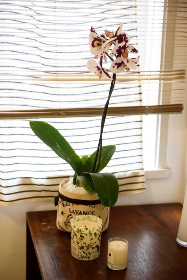 Pineapples Cg103 - Apartamento 2 Quartos, Bem Decorado E Em Otima Localizacao No Leblon リオデジャネイロ エクステリア 写真